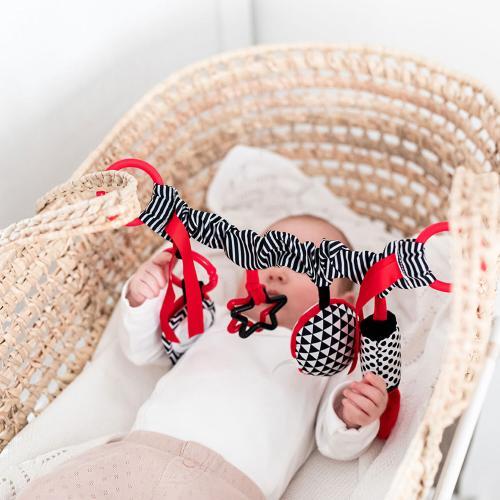 Actual product image Canpol Sensory Pram Toy