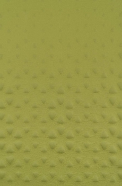 Actual product image Sea To Summit Camp Self Inflating Mat Rectangular Regular Wide