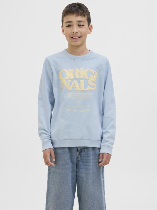 Actual product image Jack & Jones Gedruckt Sweatshirt Junior Sweatshirt (164)
