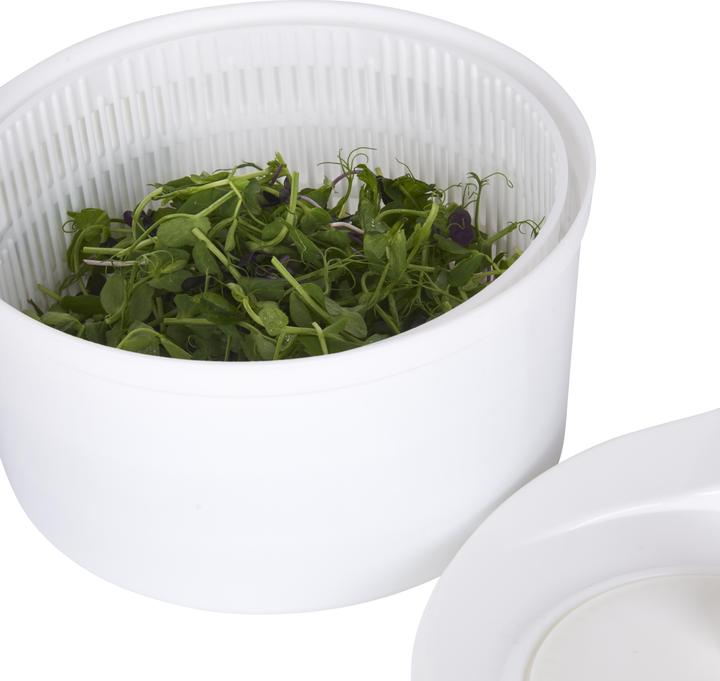 Actual product image Kitchen Craft Salatschleuder