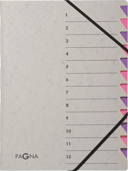 Produktbild Pagna Ordnungsmappe (A4, 1x)