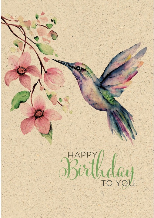 Colibri (1 pcs)