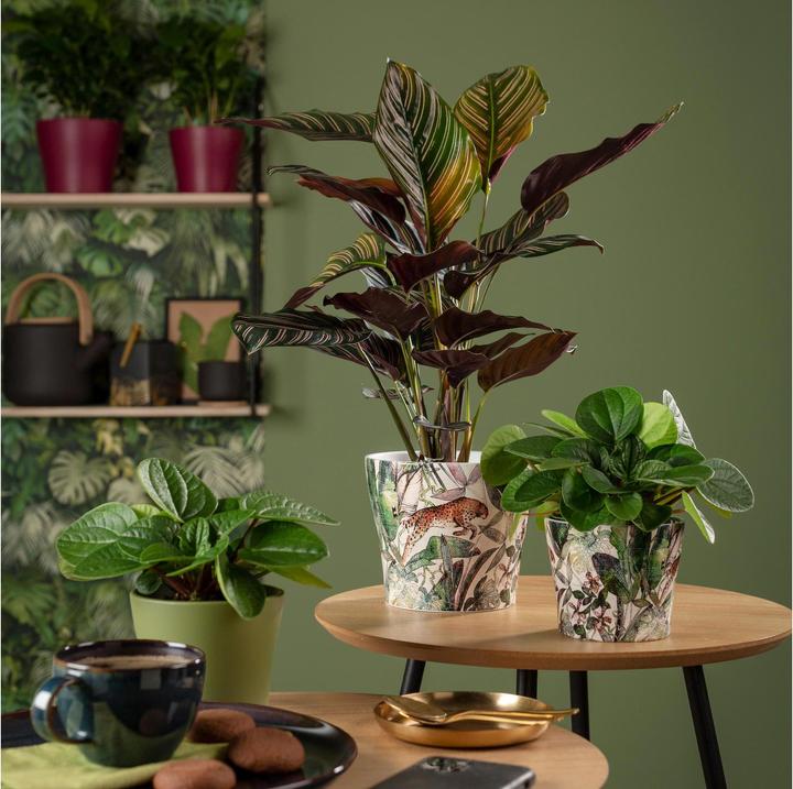 Produktbild Scheurich Keramik Übertopf (26 cm)