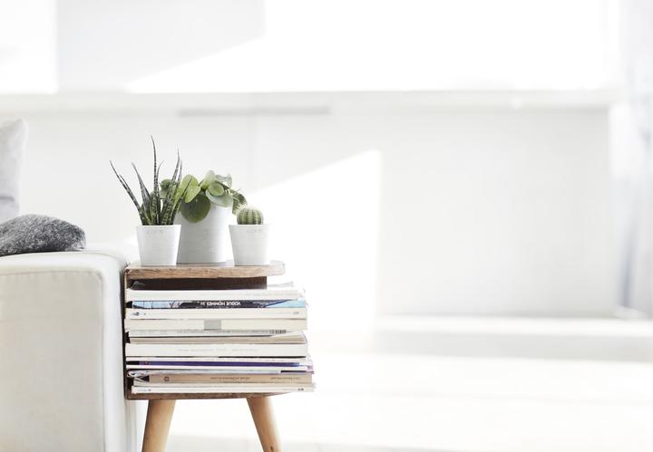 Actual product image Ecopots Amsterdam Mini (8 x 7 cm)