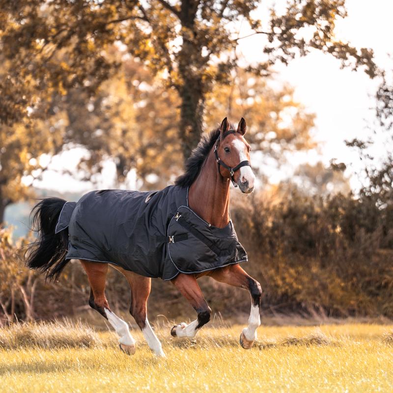 Kavalkade, Pferdedecke, (135 cm)