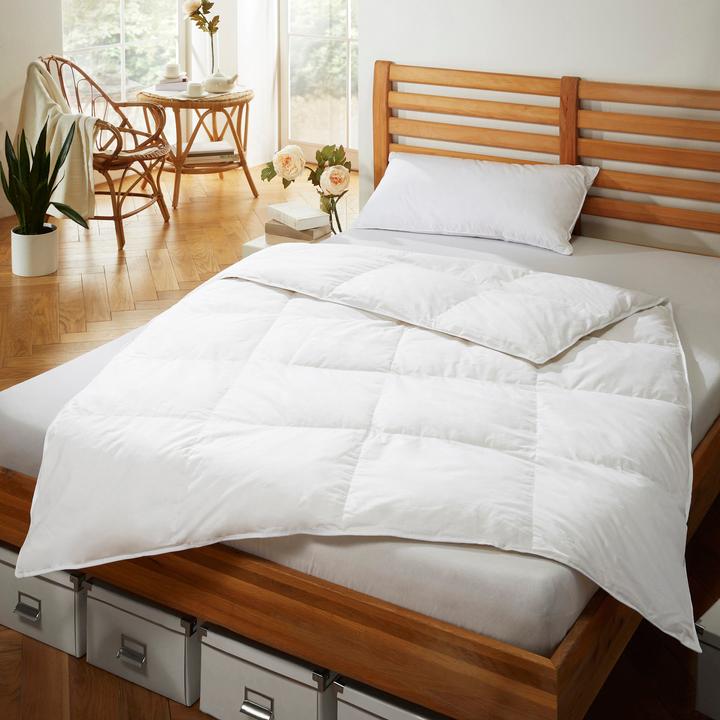 Image du produit Erwin Müller Grafing (770 g, Duvet, 220 x 155 cm)