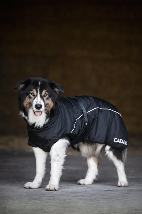 Actual product image Catago FIR-Tech vinter hundedaekken sort 50cm (50, Dog coat)