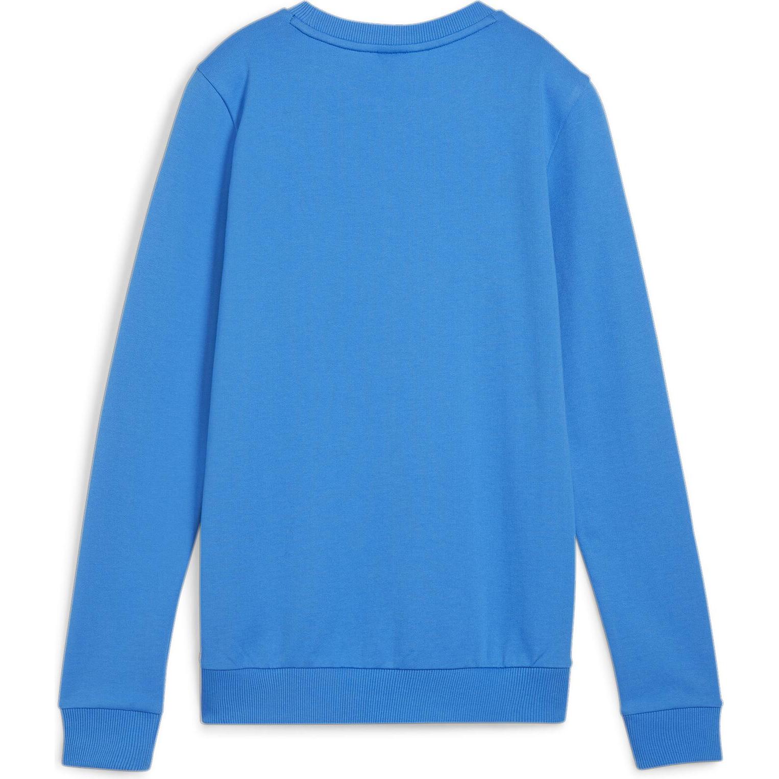 Thumbnail - Puma, Damen, Pullover, teamGOAL Casuals Crew Neck Sweat Wmn, Blau, (S)