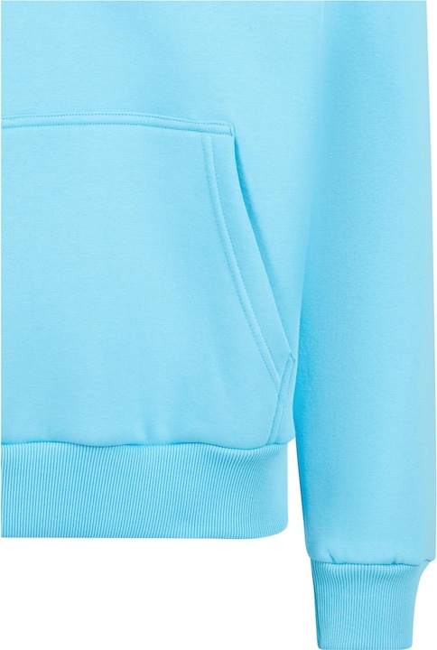 Immagine prodotto Dropsize Felpa con cappuccio Heavy Oversize Embo - 124751 (XS)
