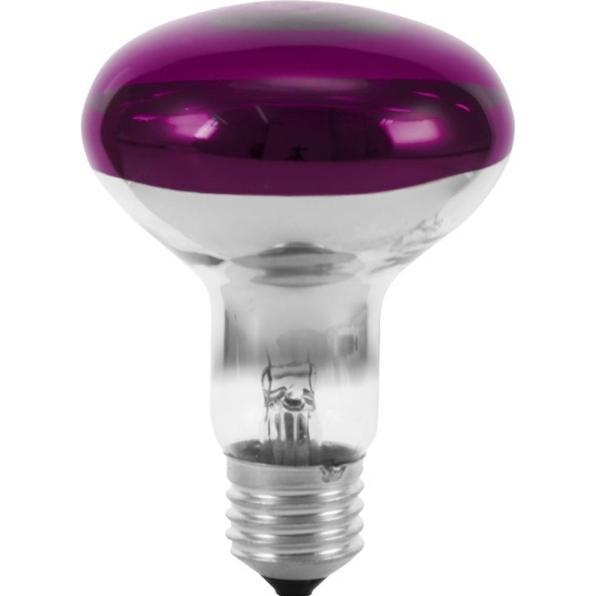 Omnilux R80 230V/60W E-27 violett (60 W, E27), Lichttechnik Leuchtmittel