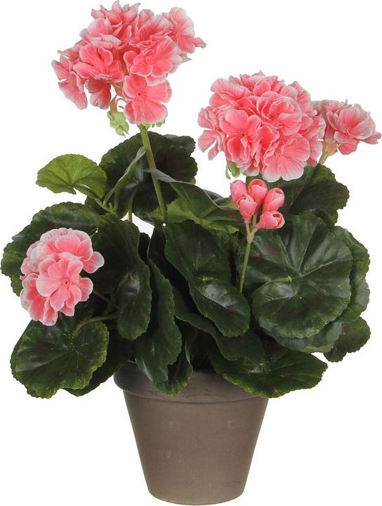 Actual product image Mica Decorations Artificial geranium peach in grey pot (33 cm)