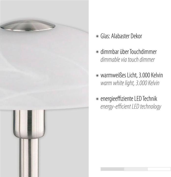 Image du produit Paul Neuhaus Enova (265 lm, G9)