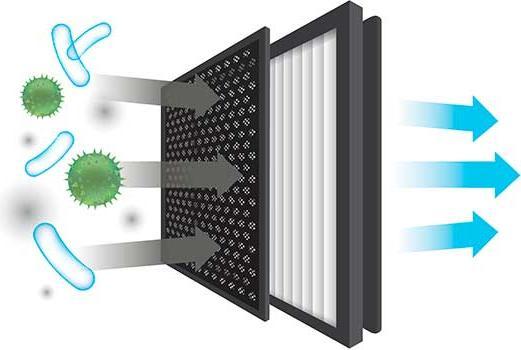 Image du produit Venta H13 & Anti-Formaldehyd Filterset 2er (2 x)