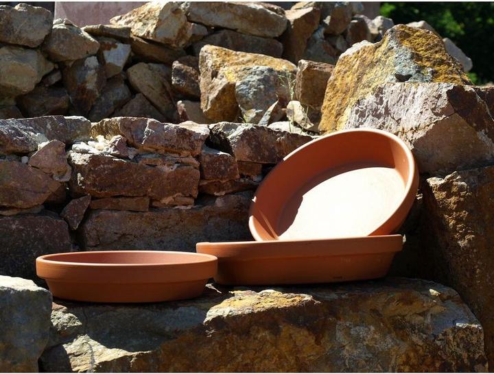 Actual product image Spang Coaster