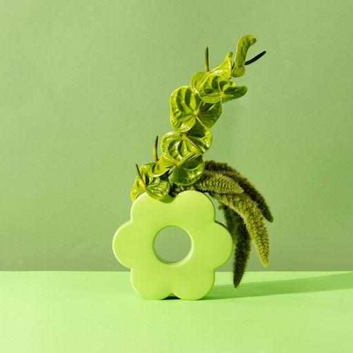 Immagine prodotto Doiy Vaso con corpo, trasparente (1x)