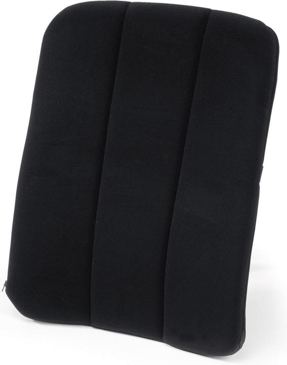 Sissel DorsaBack-Car (50 x 35 cm)