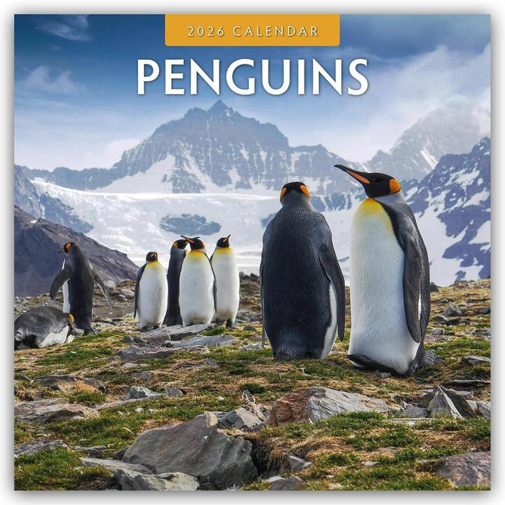 Produktbild Red Robin Publishing Ltd:Penguins - Pin (30.5 x 30.5 cm)