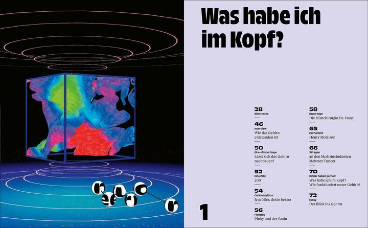 Actual product image Das Gehirn (German, 2022)