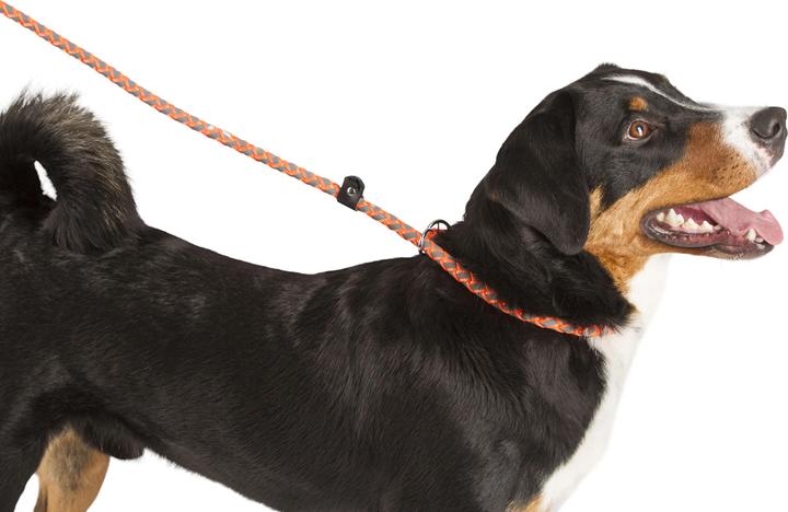 Produktbild Kerbl Maxi Safe Schlupfleine 170 cm x 12mm, neon orange (Hund)