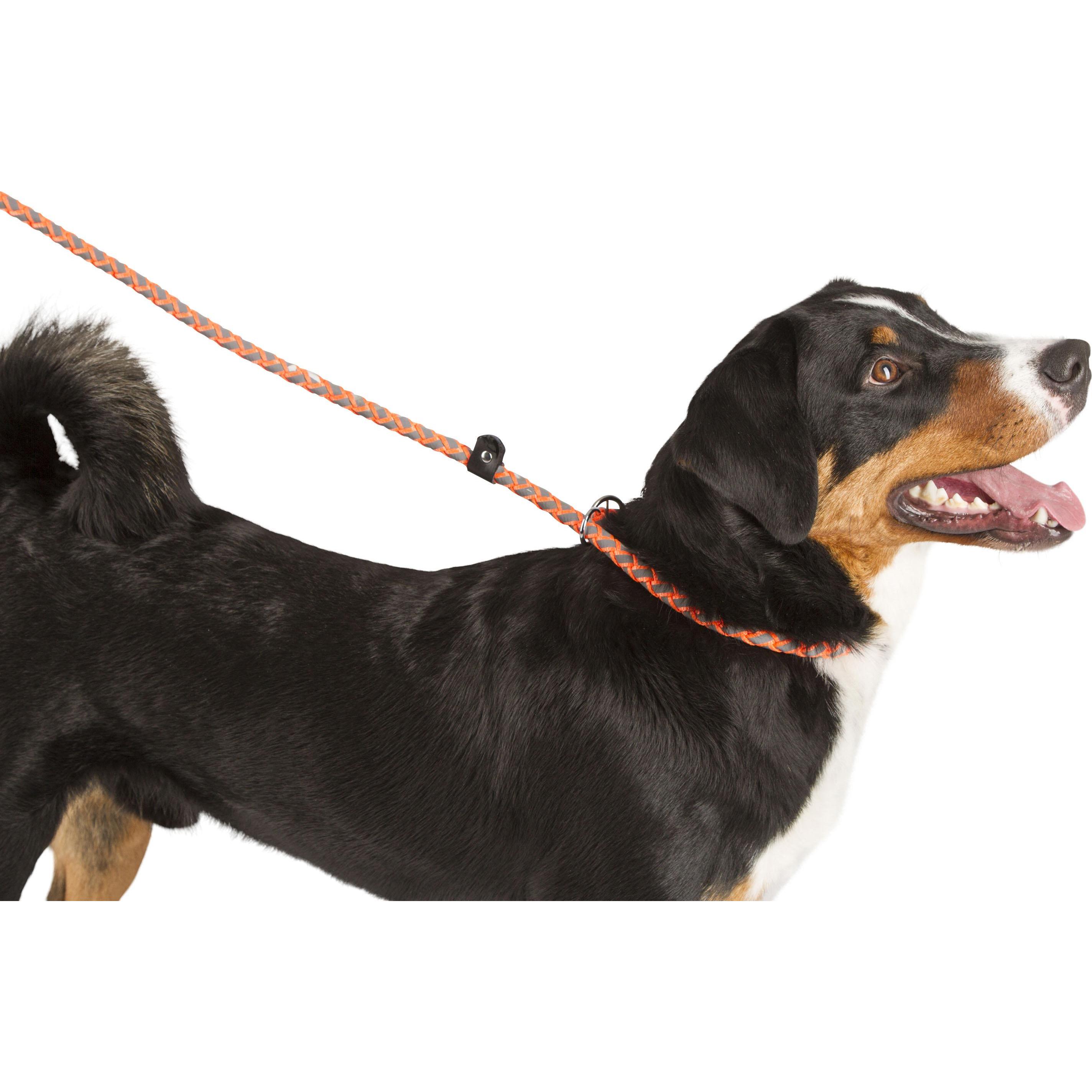 Thumbnail - Kerbl Maxi Safe Schlupfleine 170 cm x 12mm, neon orange (Hund, Hundesport), Halsband + Leine