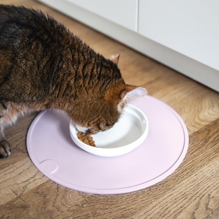 Produktbild LucyBalu BOWL Porzellan Katzennapf