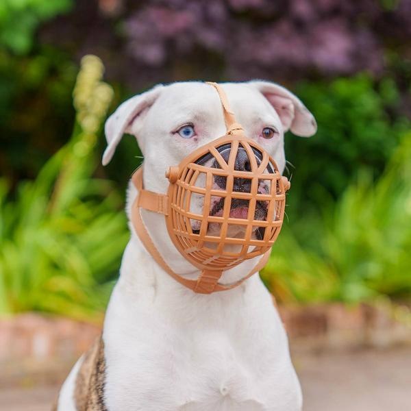 Produktbild Baskerville Maulkorb Wide Fit (Hund)