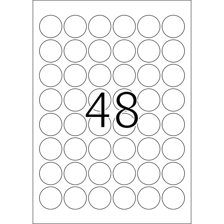 Immagine prodotto HERMA Etichette resistenti alle intemperie A4 rimovibili