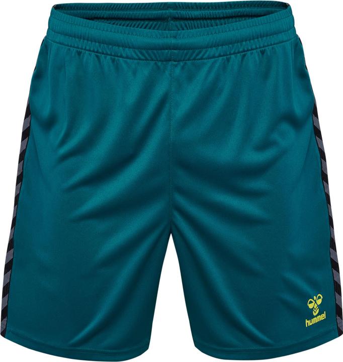 Actual product image hummel Hmlauthentic Pl Shorts (M)