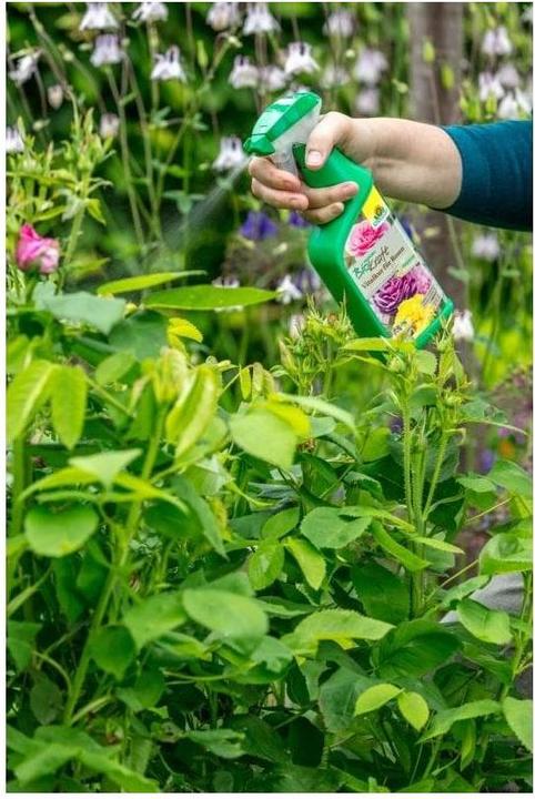 Immagine prodotto Neudorff BioKraft cura rivitalizzante per le rose, 500 ml