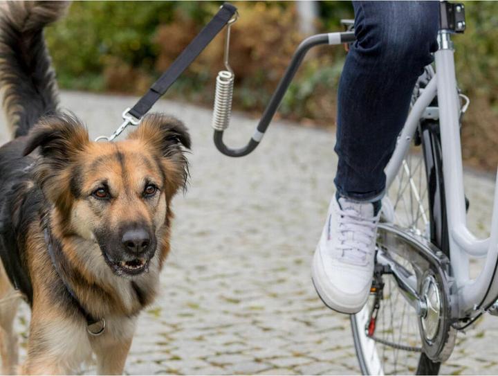 Actual product image Trixie Biker set U-shape, M-XL (Dog)