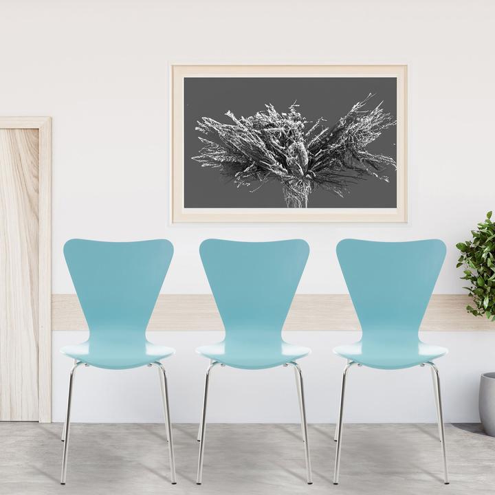 Image du produit CLP Calisto