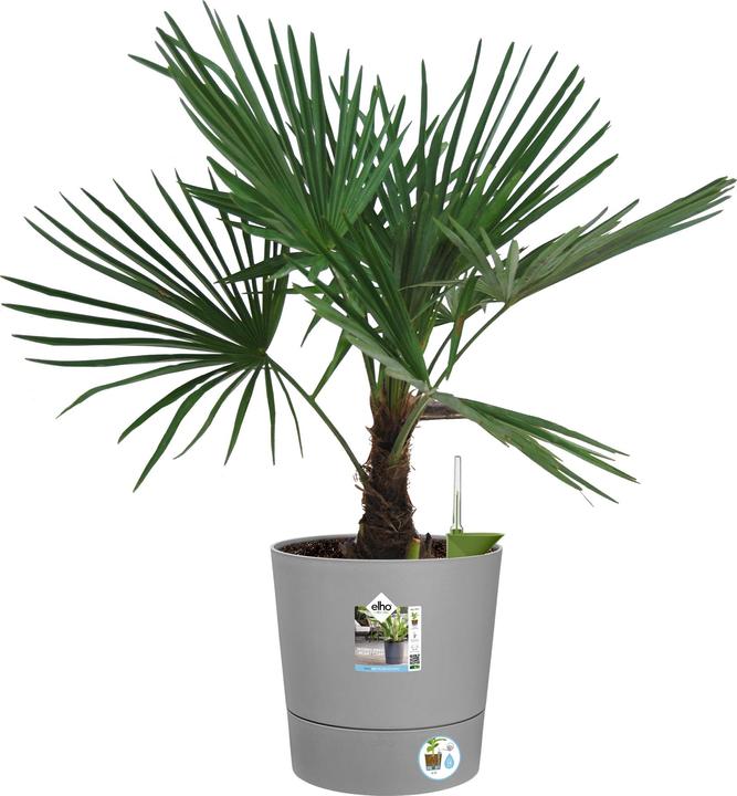 Produktbild Elho Blumenschale (35 x 34 cm)