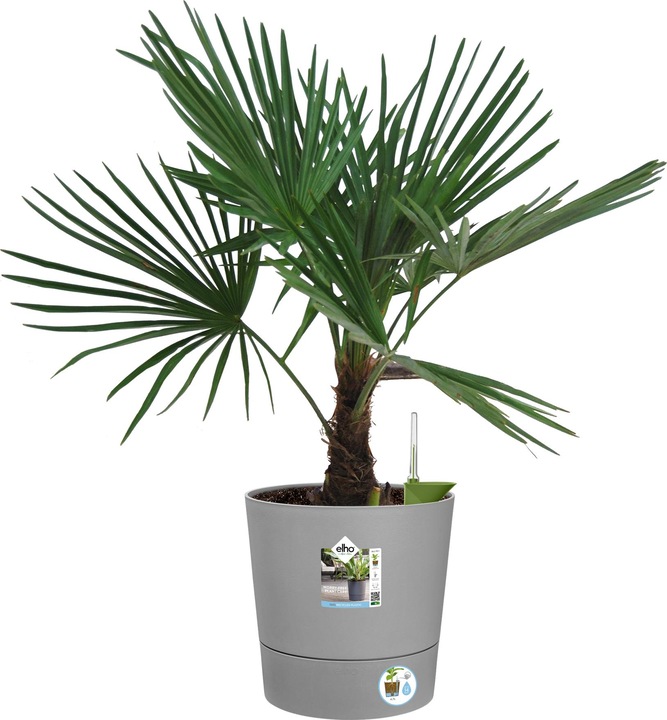 Produktbild Elho Blumenschale (35 cm)