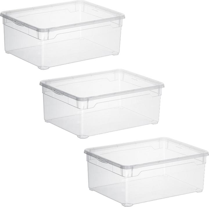 Image du produit Rotho Clair (36 x 26 x 14 cm, 10 l)