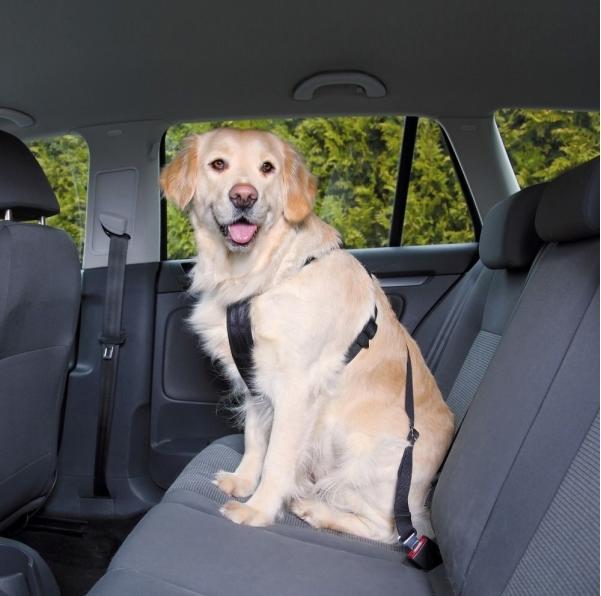 Produktbild Trixie Auto-Geschirr (L, Hund)