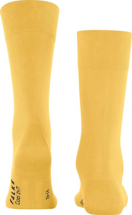 Actual product image Falke Cool 24/7 Baumwollsocken (Single pack, 45 - 46)