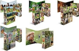 Actual product image Herma A4 folder motif (A4, 70 mm, 1 x)