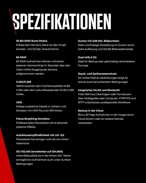 Produktbild Canon EOS R6 Mark II Kit (EU) (24 - 105 mm, 24.20 Mpx, Vollformat)