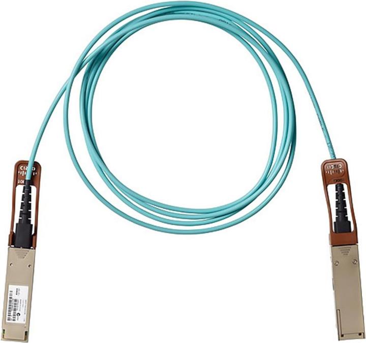 Cisco 100GBase Direktanschlusskabel