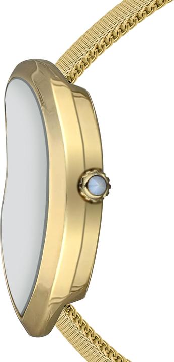 Image du produit Clare Moss Old money Mesh (26 mm)