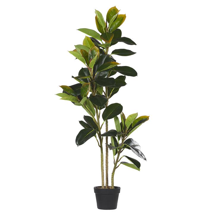 Immagine prodotto Beliani Ficus Elastica (134 cm)