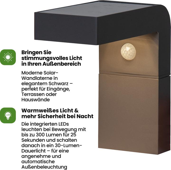 Image du produit Star Trading Lanterne murale solaire Vici (300 lm, IP44)
