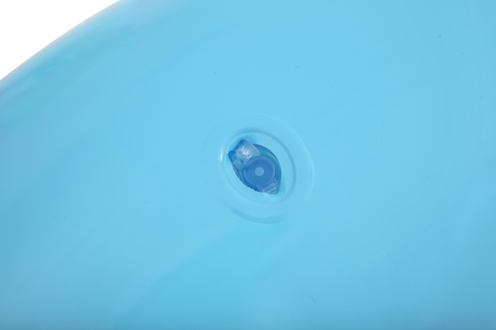 Actual product image Bestway Palmy Jr.36237 2183 swimming wheel