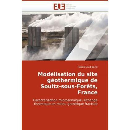 Modélisation du site géothermique de Soultz-sous-Forêts, France, Fachbücher von Pascal Audigane