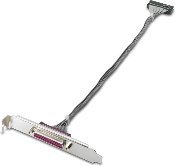 Immagine prodotto HP Adattatore porta parallela KD061AA
