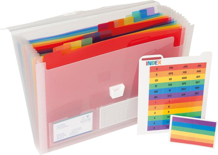 Actual product image Exacompta Crystal folder with handle (A4, 1 x)