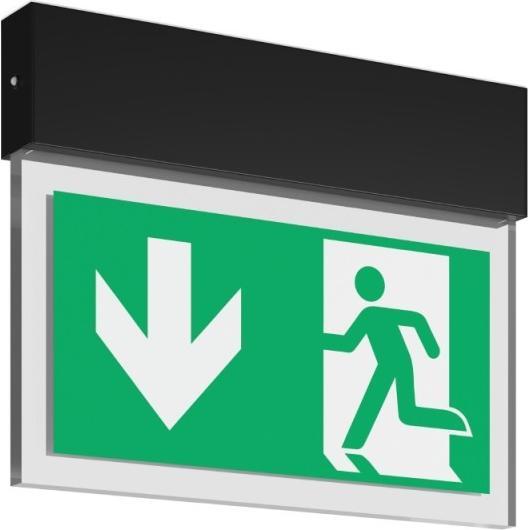 Actual product image RZB LED emergency light