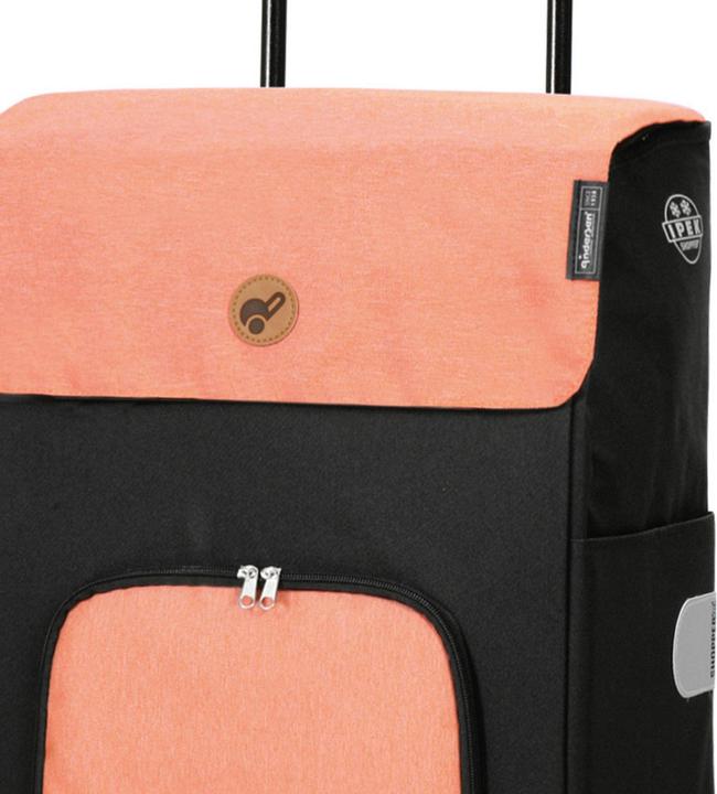 Actual product image Andersen Quattro Shopper Ipek Ib shopping trolley 57 cm