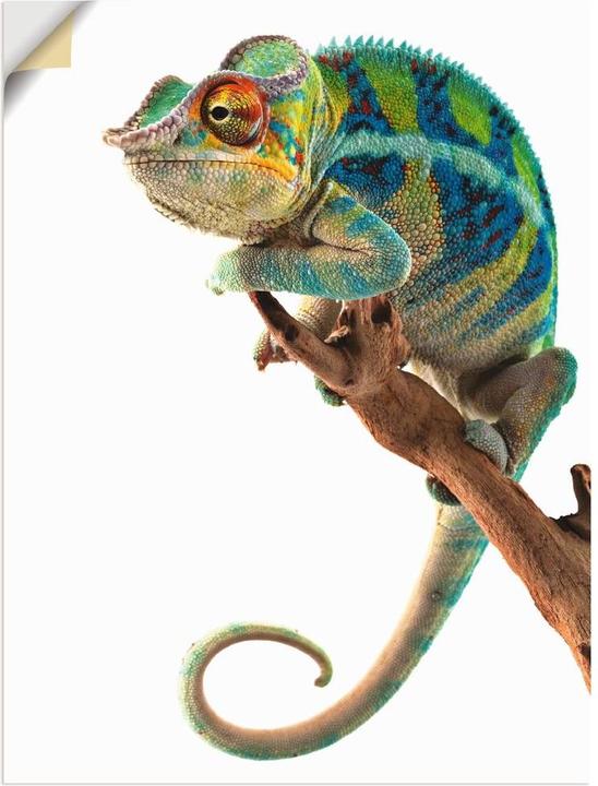Image du produit Artland Ambanja Panther Caméléon T5RW (45 x 60 cm)