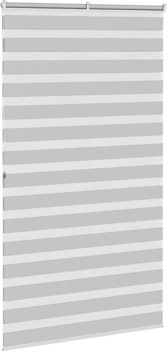 Produktbild vidaXL Zebra-Jalousie (120 x 200 cm)